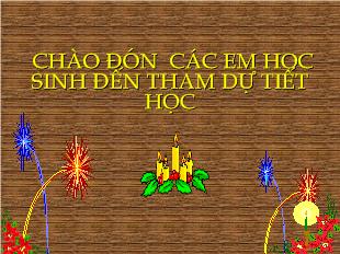 Bài giảng Hình học 8 - Tiết 48: Các trường hợp đồng dạng của tam giác vuông