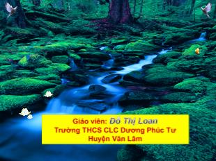 Giáo án Đại số 8 - Đỗ Thị Loan - Tiết 47, bài 5: Phương trình chứa ẩn ở mẫu
