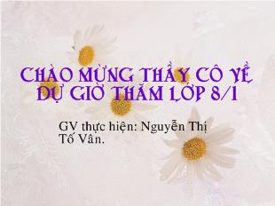 Bài giảng Đại số 8 - Nguyễn Thị Tố Vân - Tiết 24: Rút gọn phân thức