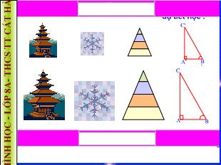 Bài giảng Hình học 8 - Trường THCS Cát Hải - Tiết 42: Khái niệm hai tam giác đồng dạng