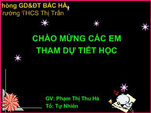 Bài giảng Số học 6 - Phạm Thị Thu Hà - Tiết 41: Tập hợp các số nguyên