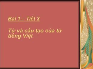 Bài giảng Bài 1 Tiết 3: Từ và cấu tạo của từ tiếng Việt