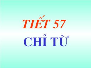 Bài giảng Tiếng Việt Tiết 57 : chỉ từ