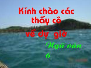 Bài giảng tiết 103: Cô tô