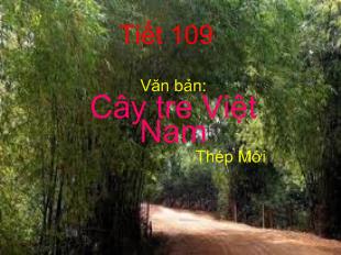 Bài giảng Văn bản: Cây tre Việt Nam Thép Mới