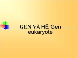 Bài giảng Gen và hệ gen eukaryote