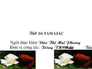 Chuyên đề Cấp trường toán 6 tiết 26: Tam giác