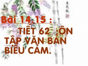 Bài giảng Bài 14.15 : tiết 62 :ôn tập văn bản biểu cảm