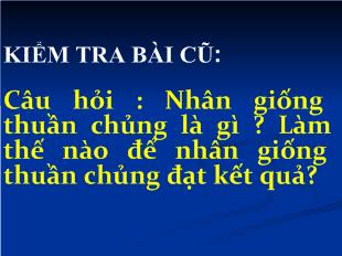 Bài giảng bài 35: thực hành: nhận biết và chọn một số giống gà qua quan sát ngoại hình và đo kích thước các chiều