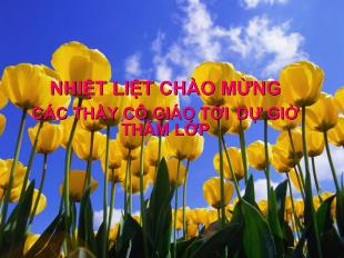 Bài giảng bài 8 - Tiết 33 - tiếng việt chữa lỗi về quan hệ từ