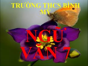 Bài giảng Chơi chữ