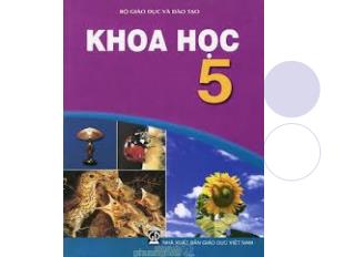 Bài giảng Khoa học : từ tưởi vị thành niên đến tuổi già