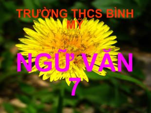Bài giảng Ngẫu nhiên viết nhân buổi mới về quê (Hồi thương ngẫu thư)
