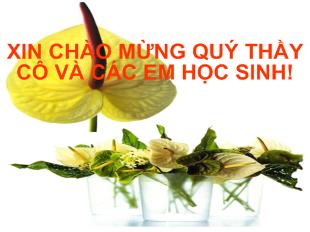Bài giảng Ngữ Văn: Tiết 99 Chuyển đổi câu chủ động sang câu bị động (tiếp)