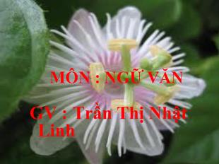 Bài giảng Tiết 122: dấu gạch ngang