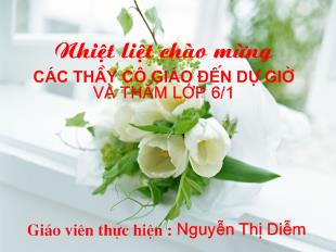 Bài giảng Tiết 33_Ngôi kể trong văn tự sự