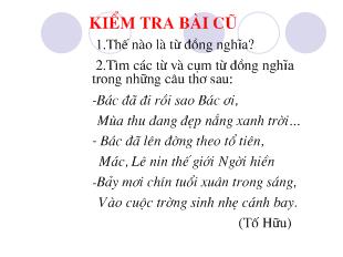 Bài giảng Tiết 39 : Từ trái nghĩa