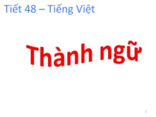 Bài giảng Tiết 48 Tiếng Việt: Thành ngữ
