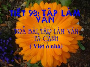 Bài giảng Tiết 98: Tập làm văn Trả bài Tập làm văn tả cảnh ( Viết ở nhà)