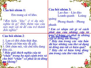 Bài giảng Từ đồng âm