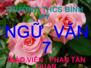 Bài giảng Từ hán việt (tiếp theo)