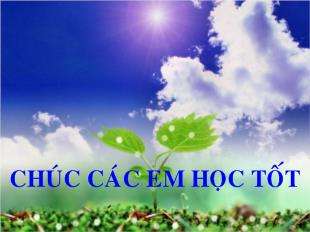 Bài giảng Tuần 29 tiết 89 bài 10: Phép nhân phân số
