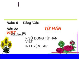 Bài giảng Tuần 6 Tiếng Việt tiết 22: Từ hán việt (tiếp theo)