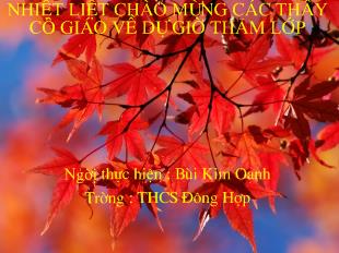 Bài giảng Tiết 30: Văn bản Chiếc lá cuối cùng (O Hen – ri)