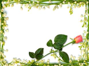 Bài giảng bài 19 tiết 20 thực hành : Sơ cứu cầm máu