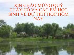 Bài giảng Bến quê_ Nguyễn Minh Châu