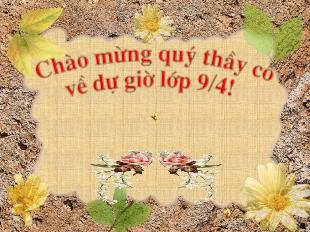 Bài giảng Nghĩa tường minh và hàm ý (tiếp theo)