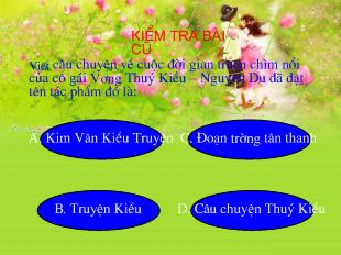Bài giảng Ngữ văn 9: tiết 27: chị em thuý kiều - Trích truyện kiều- Nguyễn Du