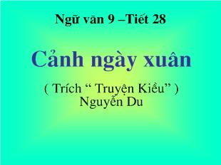 Bài giảng Ngữ văn 9 –Tiết 28 Cảnh ngày xuân ( Trích “ Truyện Kiều” ) Nguyễn Du