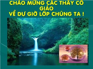 Bài giảng Ngữ văn 9 - Tiết 28 Văn bản: Cảnh ngày xuân (Trích Truyện Kiều - Nguyễn Du)