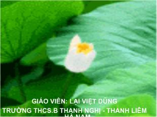 Bài giảng Ngữ văn 9- Tiết 46 bài 10 đồng chí Chính Hữu