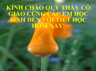 Bài giảng ngữ văn_ Đồng Chí (Chính Hữu)