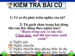 Bài giảng Sự phát triển từ vựng tiếng Việt