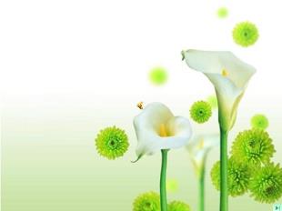 Bài giảng Tiết 116: Văn bản MÙA XUÂN NHO NHỎ (Thanh Hải)