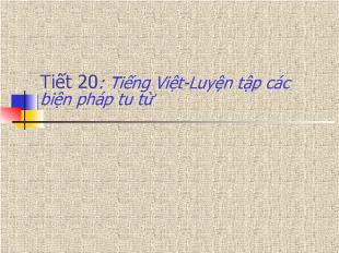 Bài giảng Tiết 20: Tiếng Việt-Luyện tập các biện pháp tu từ