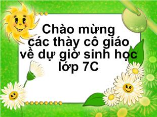 Bài giảng Tiết 25- Đa dạng và vai trò của lớp giáp xác