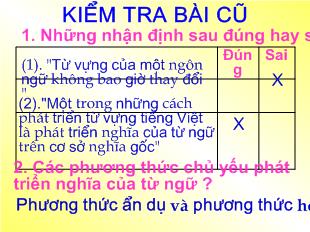 Bài giảng Tiết 25: Sự phát triển của từ vựng ( tiếp)