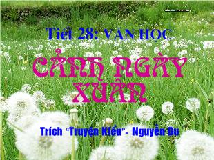 Bài giảng Tiết 28: Văn học Cảnh ngày xuân Trích “Truyện Kiều”- Nguyễn Du