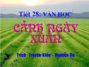 Bài giảng Tiết 28: Văn học Cảnh ngày xuân Trích “Truyện Kiều”- Nguyễn Du