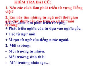 Bài giảng tiết 29- Thuật ngữ