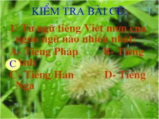 Bài giảng tiết 29- tiếng việt: Thuật ngữ