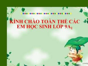 Bài giảng Tiết 33: Miêu tả trong văn bản tự sự