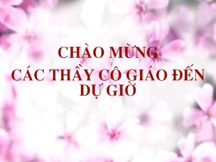 Bài giảng Tiết 46 ĐỒNG CHÍ - Chính Hữu