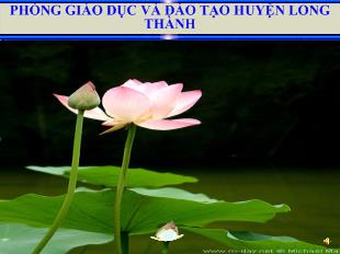 Bài giảng Tuần 8 tiết 39: văn bản: lục vân tiên cứu kiều nguyệt nga (trích “ lục vân tiên”) – Nguyễn Đình Chiểu