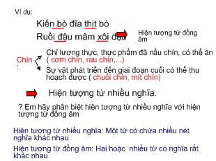 Thao giảng tiết 43: Từ đồng âm