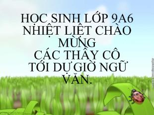 Bài giảng Tiết 128- Nghĩa tường minh và hàm ý ( Tiếp theo)